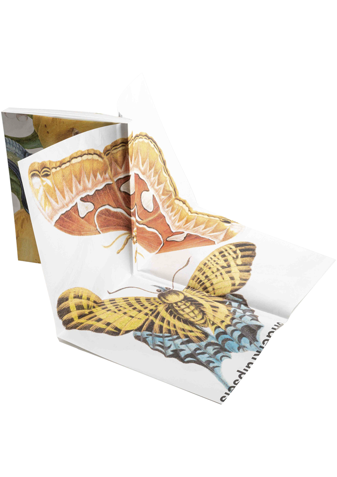Crawly Creatures: Depiction and Appreciation of Insects and other Critters in Art and Science