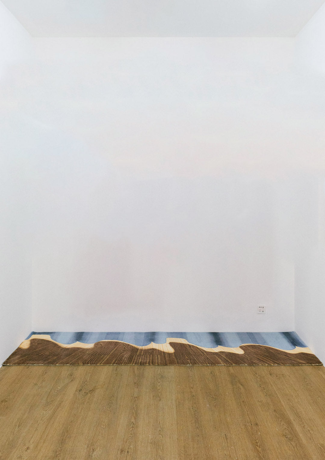 Curtain Rug