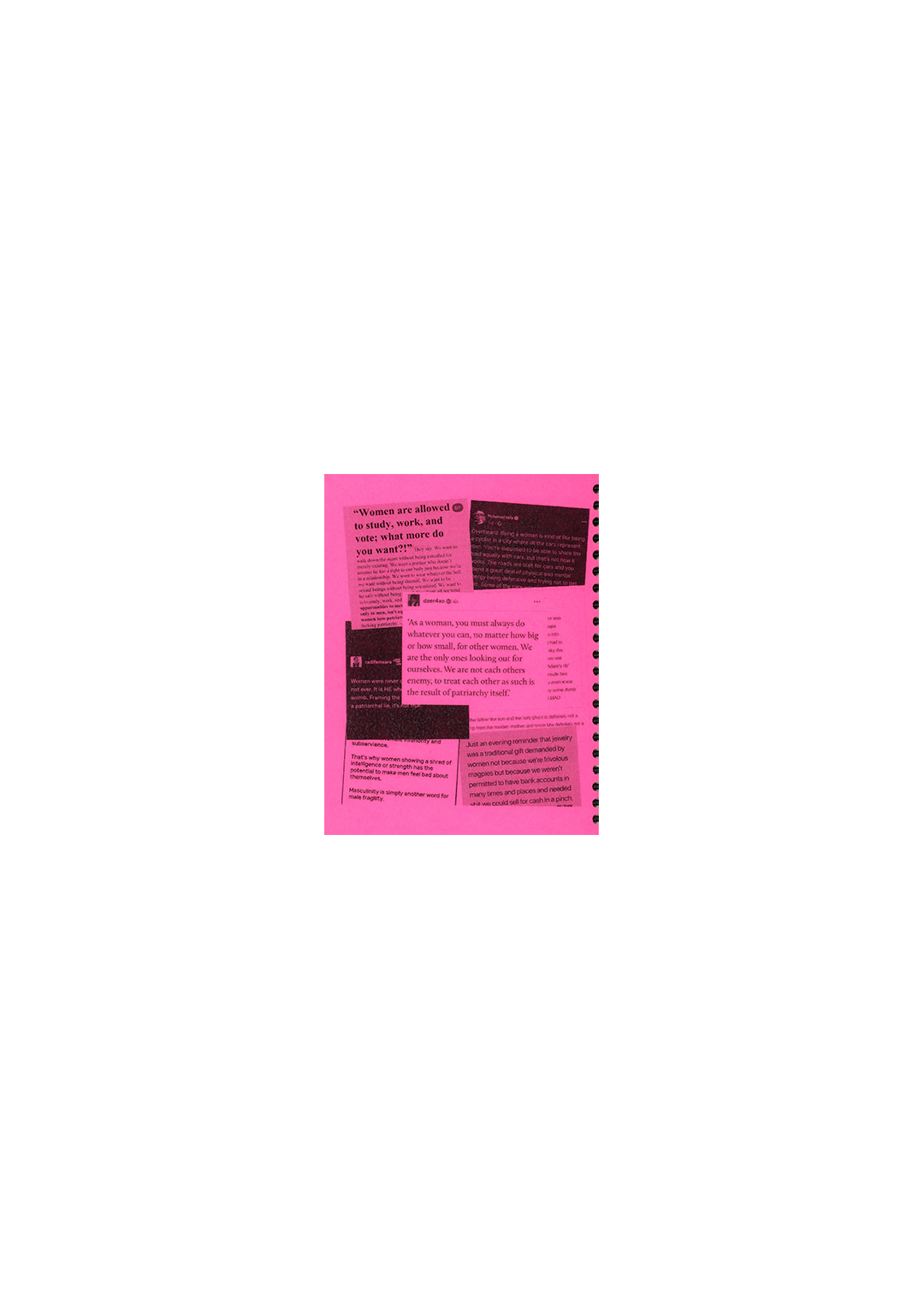 An Incomplete Radical Feminist Education from the Internet