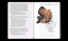 Let’s Become Fungal! Mycelium Teachings and the Arts