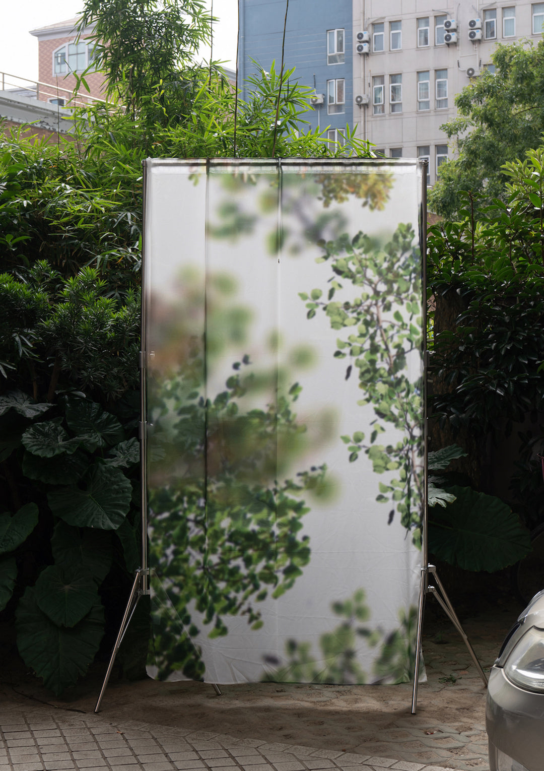 Blurred Trees Curtain