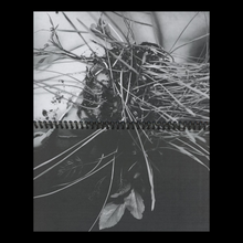 Disc Journal Issue 2.0 “intimacy”