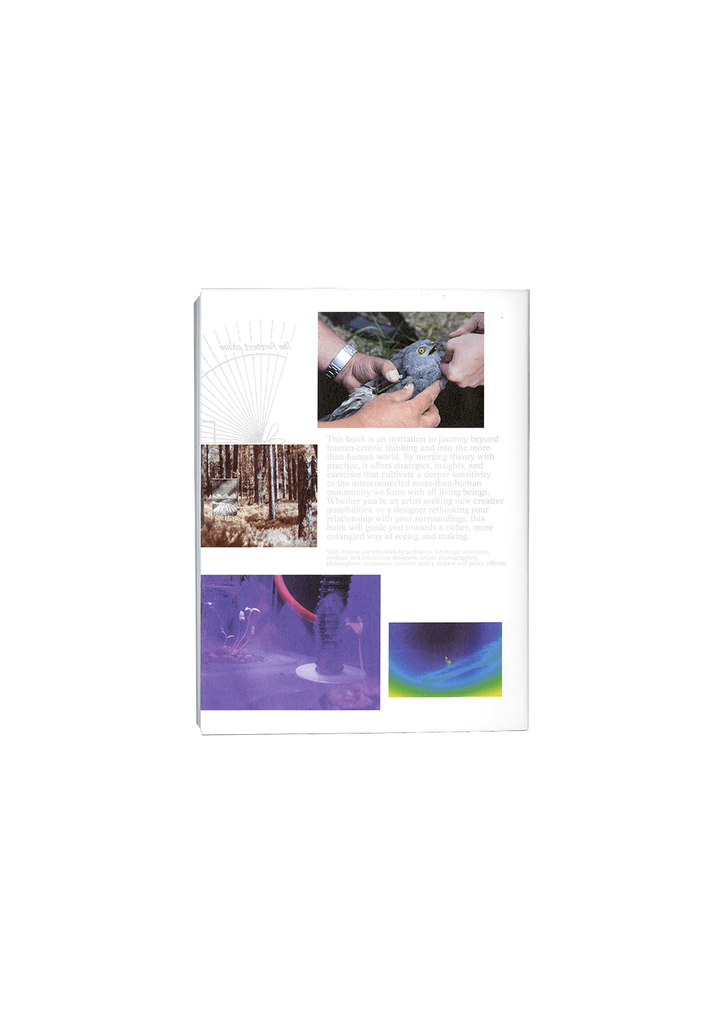 Decentering Design — Practice in a More-than- human World – Bungee