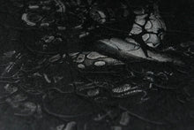Plexus (out of print)