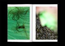Algues Maudites, a Sea of Tears