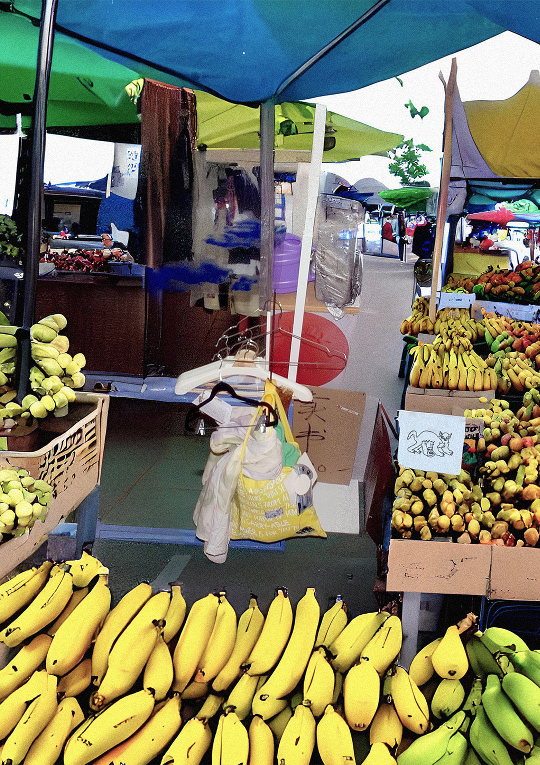 Package-FREE Bungee Tote (2023) in Banana