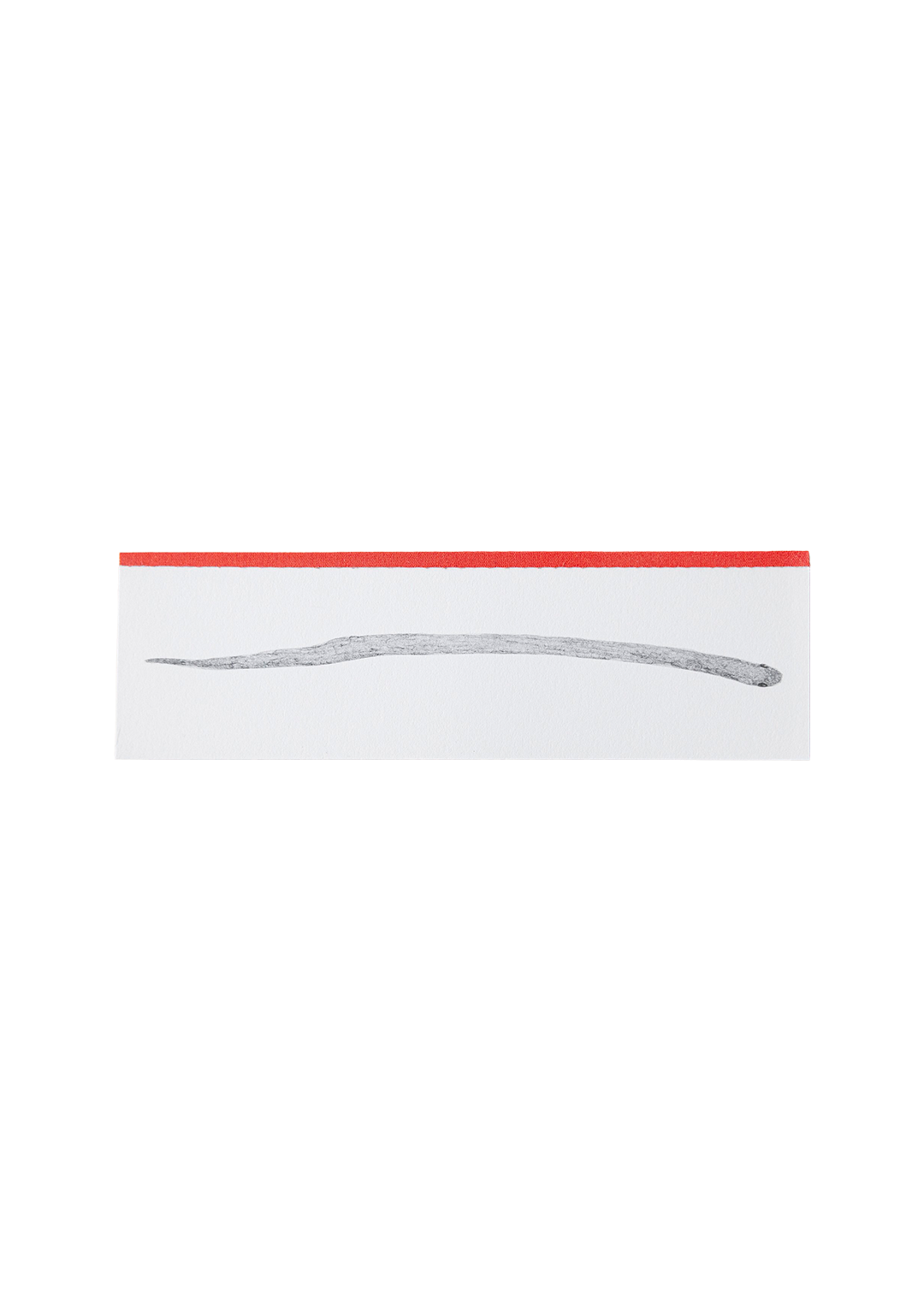Snake Book (second edition)