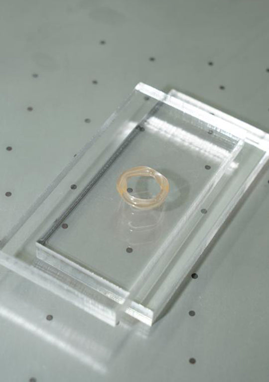 Glass Thin Organic Band Peach