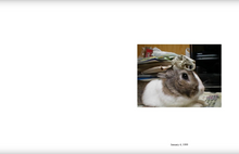 In Almost Every Picture 8: Oolong