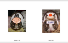 In Almost Every Picture 8: Oolong