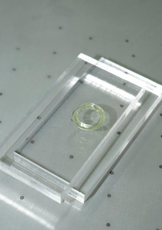 Glass Thin Organic Band Lime