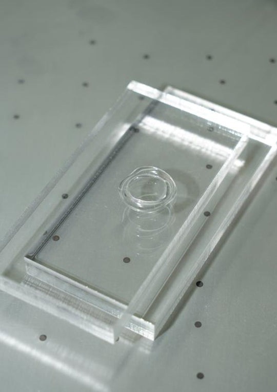 Glass Thin Organic Band Clear