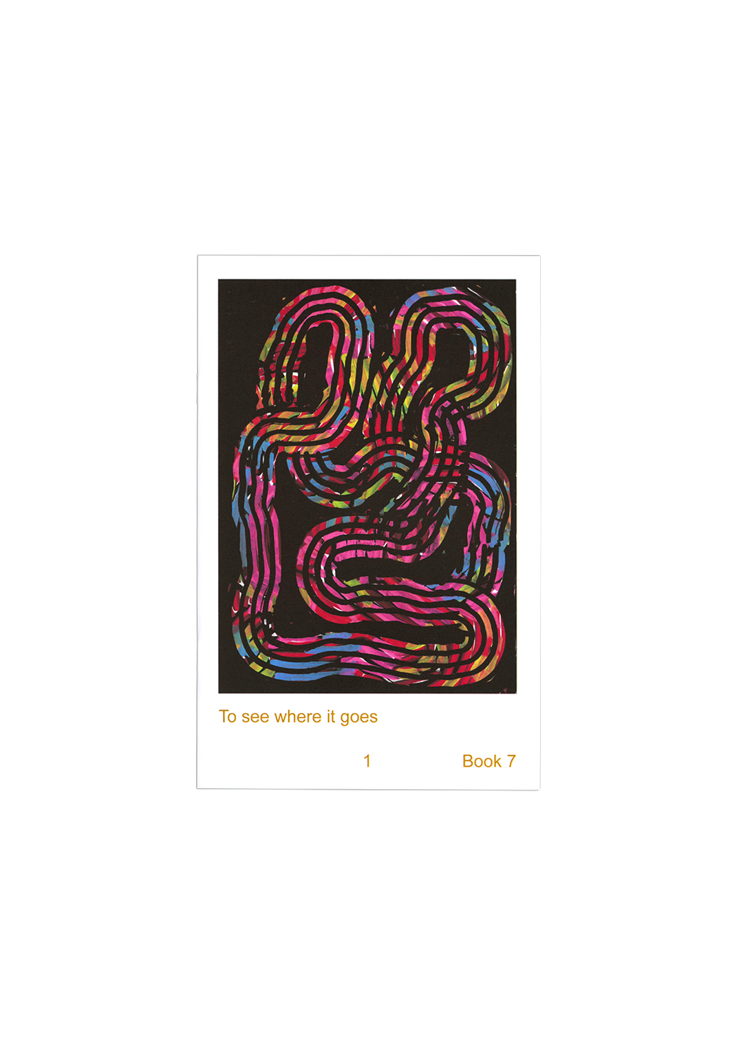First Last Booklet Series #7 To see where it goes