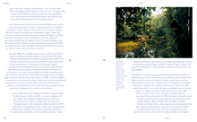 Amazonia: Anthology as Cosmology