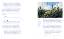 Amazonia: Anthology as Cosmology