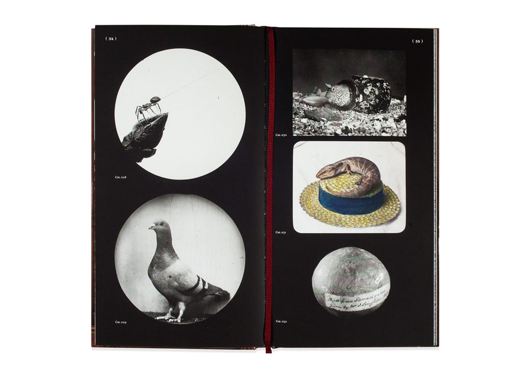 THE BUREAU OF THE CENTRE FOR THE STUDY OF SURREALISM AND ITS LEGACY