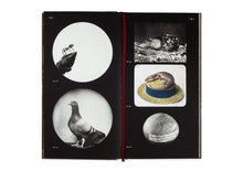 THE BUREAU OF THE CENTRE FOR THE STUDY OF SURREALISM AND ITS LEGACY