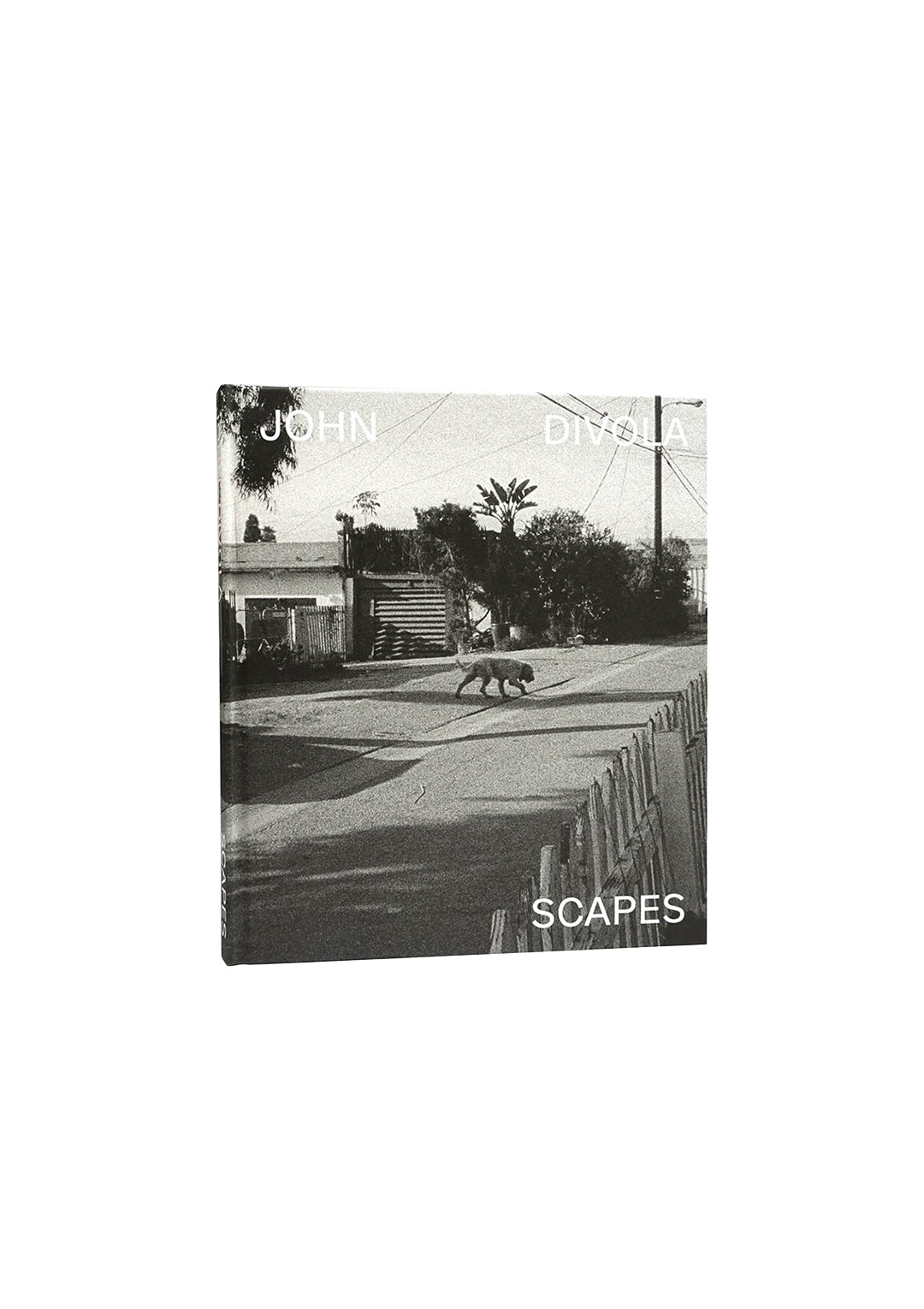 SCAPES