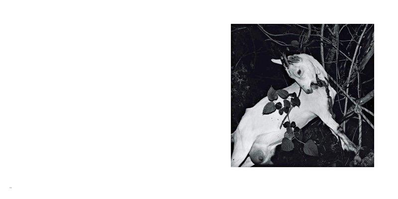 Exhibition FUSHIKADEN, Photographs by Issei SUDA