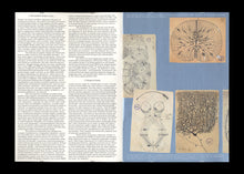 n°44 — A conundrum: the visual communication of neuroscience.