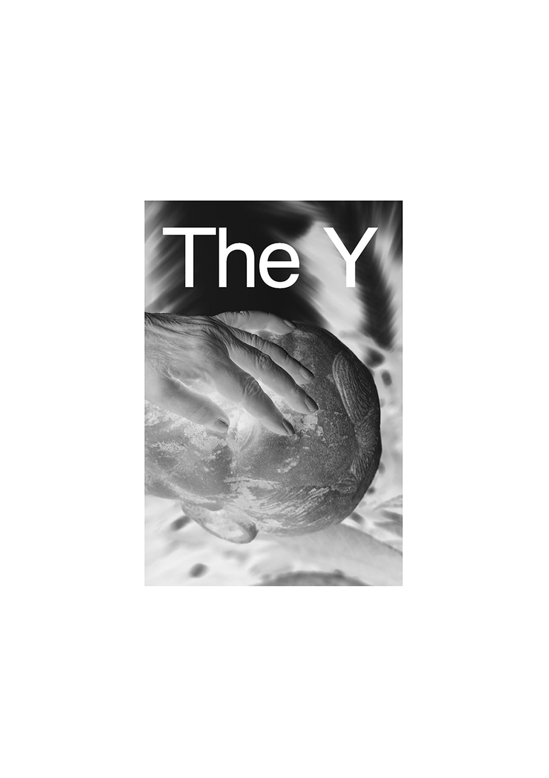 The Y