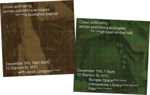 Cross-Pollinating Across Publishing Ecologies: i-n-g-a books (Chicago) at Bungee Space (NYC) | Dec 8 & 11, 2024