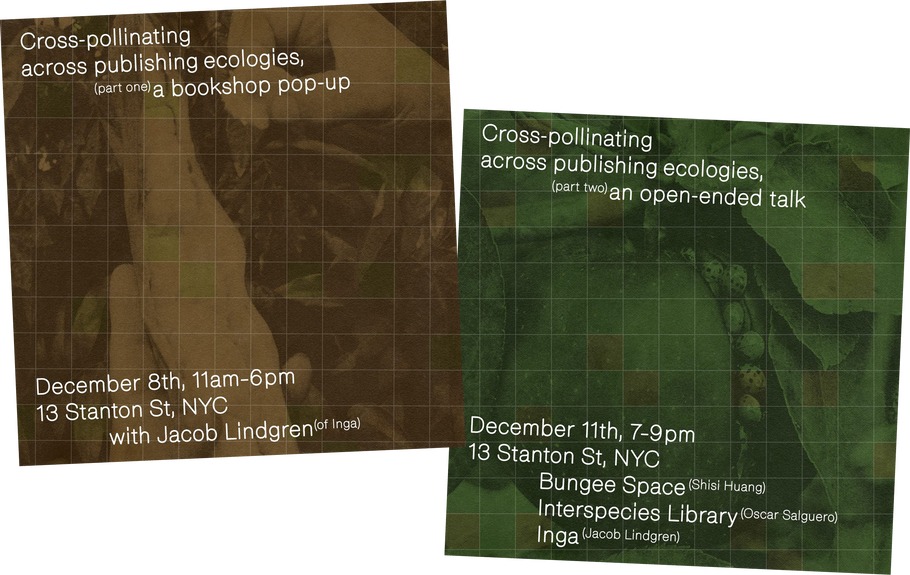 Cross-Pollinating Across Publishing Ecologies: i-n-g-a books (Chicago) at Bungee Space (NYC) | Dec 8 & 11, 2024