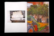 El ficus del Parterre (Catalog)