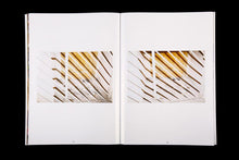 El ficus del Parterre (Catalog)