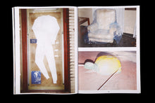 El ficus del Parterre (Catalog)