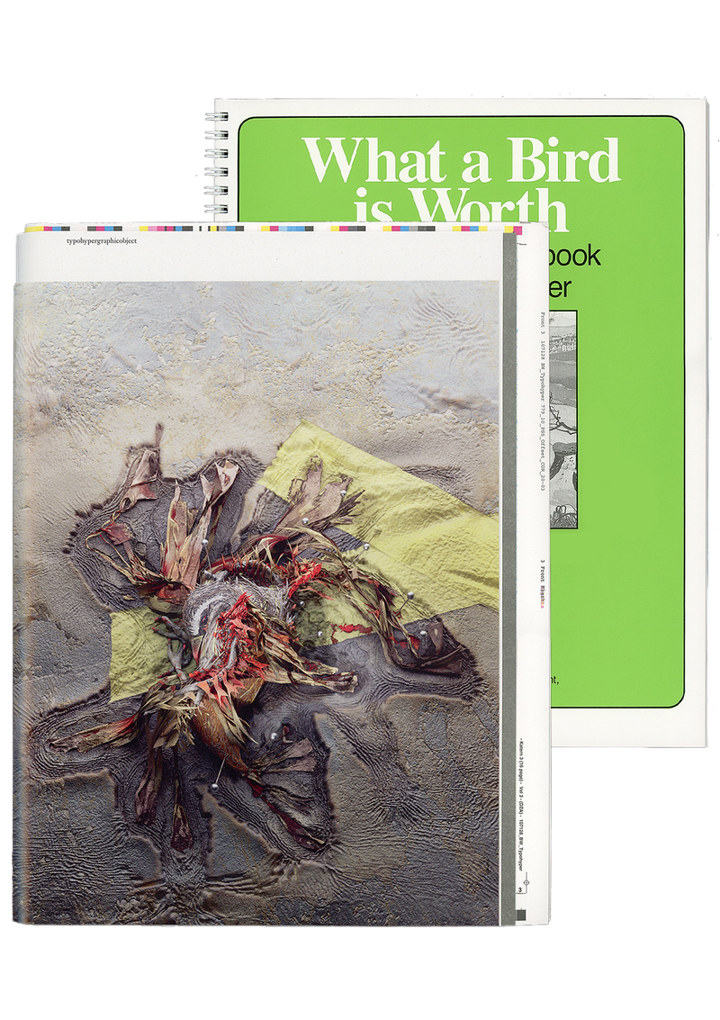 typohypergraphicobject + What a Bird is Worth (rare, out of print
