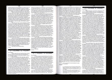 n°50 — A Site: The Palace of Typographic Masonry.
