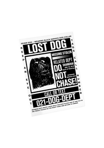 Lost Dog Zine / 寻狗启示录