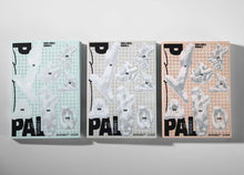 P_PAL Issue 2
