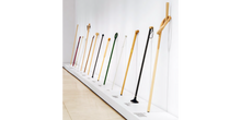 Walking Sticks