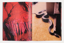 2 (SNAKE)