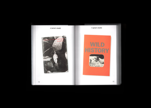 Bibliothèque d’un amateur, Richard Prince’s Publications 1981-2014