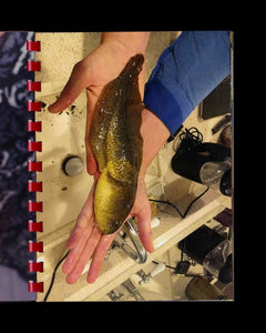 Hand For Scale