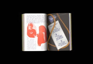 Glossary of Undisciplined Design