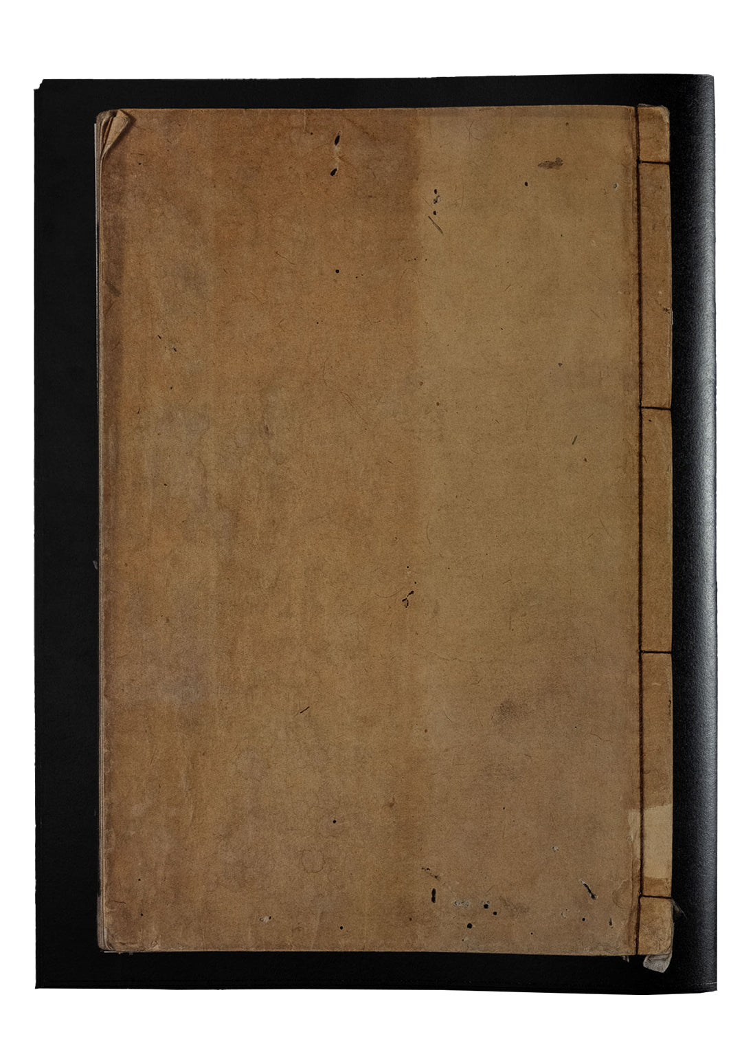 DEAD PAGES No.5 Parasites