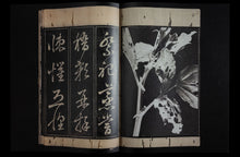 DEAD PAGES No.5 Parasites
