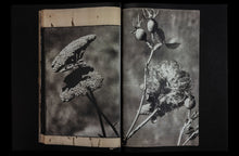 DEAD PAGES No.5 Parasites