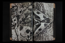 DEAD PAGES No.5 Parasites