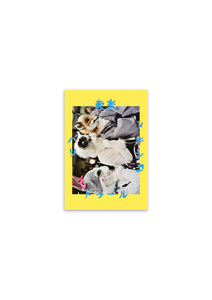 Archive Dora Diamant #05