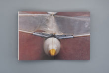 At Last, The Robot Flies