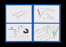 Follow the Butterflies