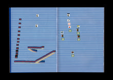 Follow the Butterflies