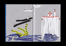 Follow the Butterflies