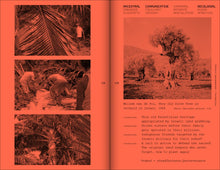 A Tree, A Reader on Arboreal Kinship