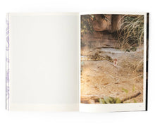 Belly of the Giant Serpent: Prophecy / 巨蛇之腹：预言 (Signed)